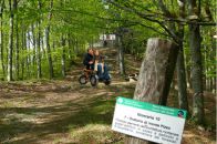 Senza Barriere: Off-Road Wheelchair Una Carrozzina 4×4 Per Indimenticabili Escursioni