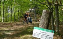 Senza Barriere: Off-Road Wheelchair Una Carrozzina 4×4 Per Indimenticabili Escursioni