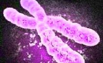 MALATTIE GENETICHE CHE COSA SONO