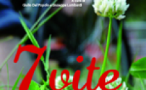 Catetere vescicale | la gestione