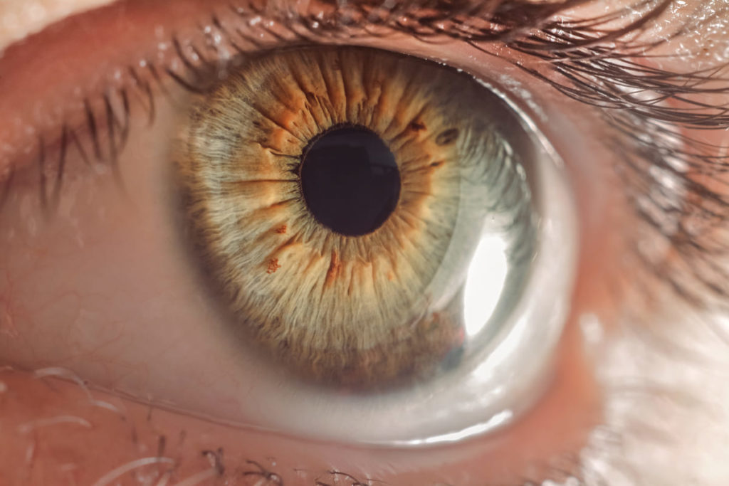 diagnosticare la Maculopatia diabetica