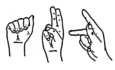Lingua dei segni