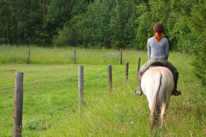 ippoterapia-ability channel-ippoterapia per disabili-ippoterapia corsi-riabilitazione-equitazione per disabili-cavallo uomo-storia ippoterapia-ippoterapia benefici-ippoterapia cos'è-ippoterapia per bambini-ippoterapia e autismo-ippoterapia etimologia-ippoterapia psicologia