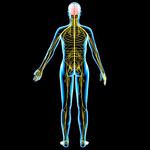 Sindrome di Guillain Barré