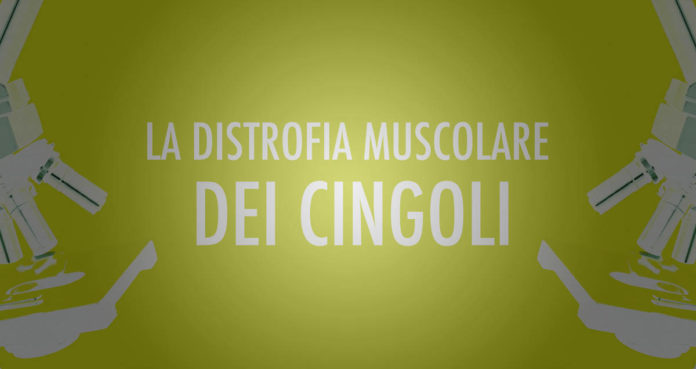 Distrofia muscolare dei cingoli