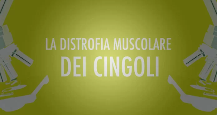 Distrofia muscolare dei cingoli