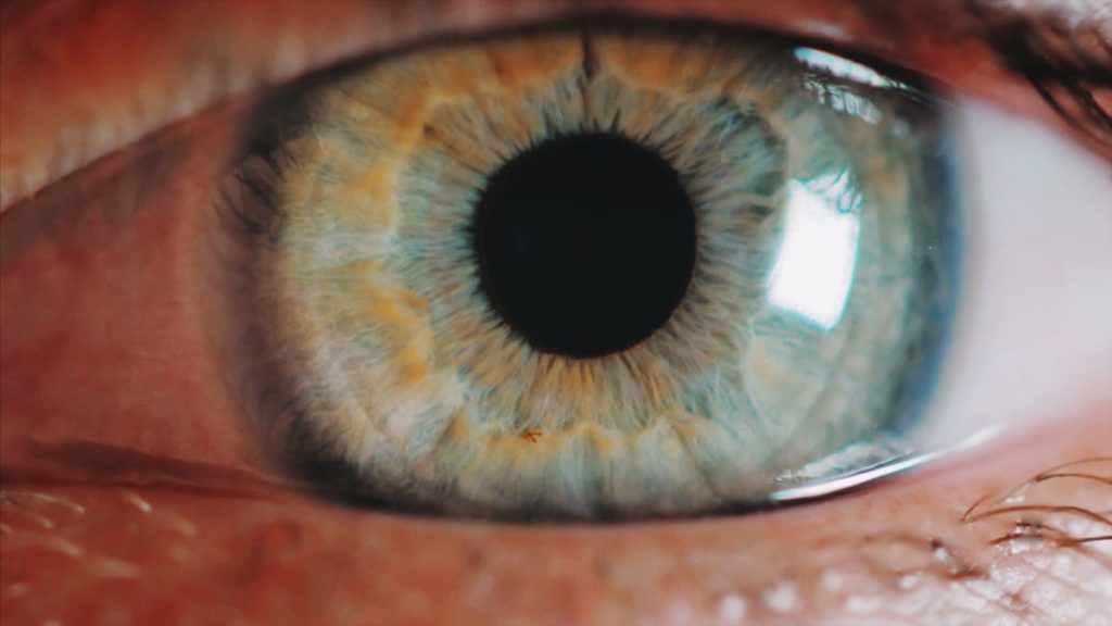 sintomi del distacco della retina