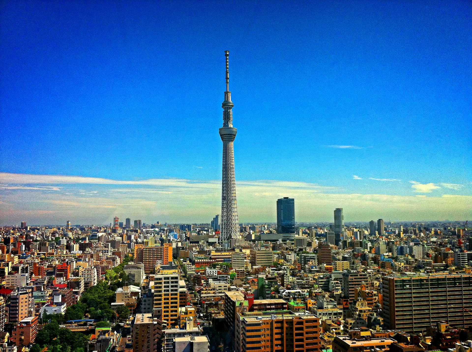 maratona di tokyo-maratona di tokyo 2020-tokyo 2020-ability channel-paralimpiadi tokyo 2020-giochi paralimpici