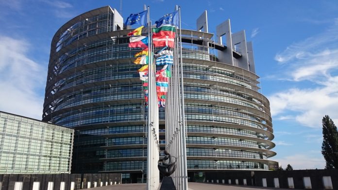 elezioni europee-ability channel-elezioni europee disabilità-elezioni europee 2019-elezioni europee 2019 chi vota