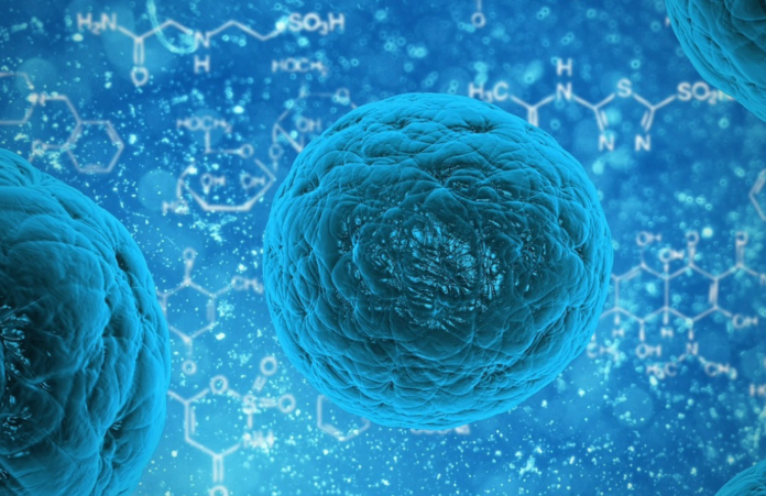 immunodeficienze