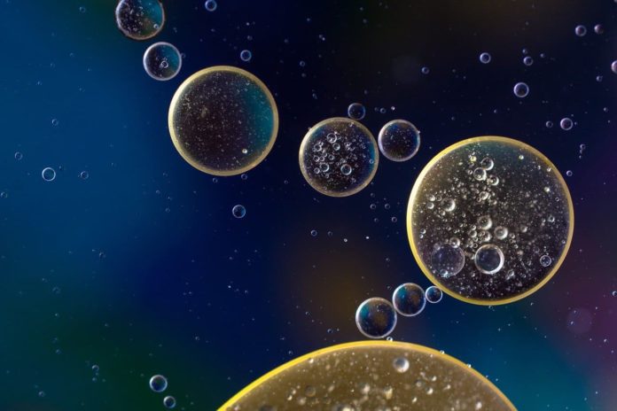 cancro cellula tumorale celluca cancerosa cellula T del sistema immunitario ability channel