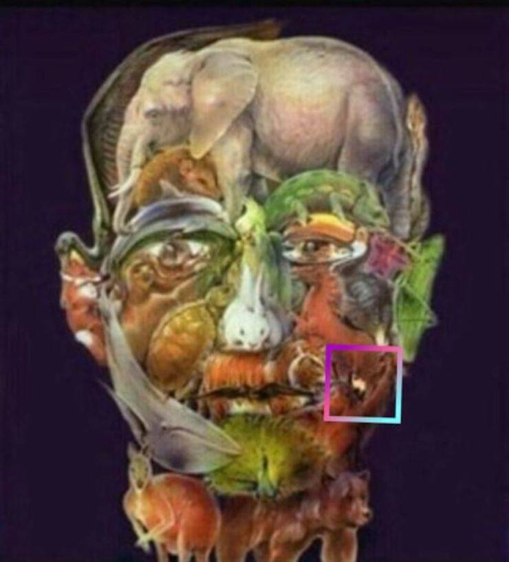 bufala test cammello per alzheimer