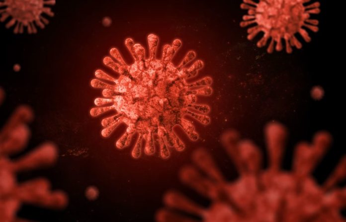 nuovo coronavirus covid
