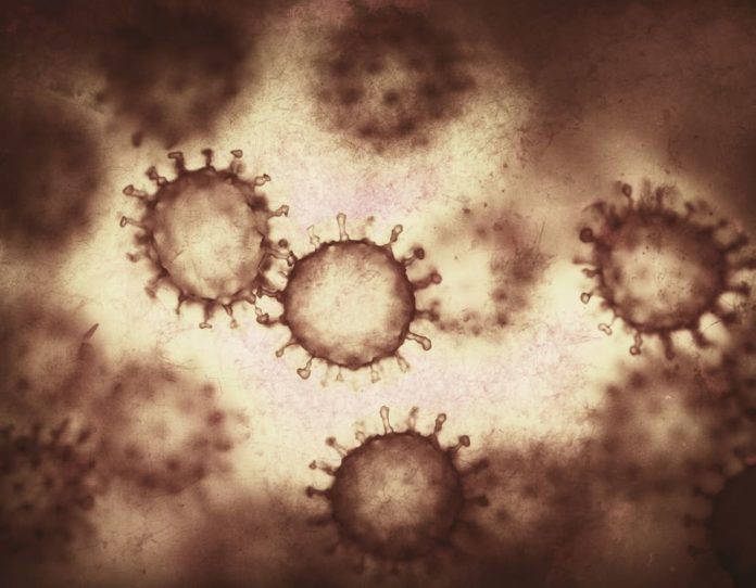 origine coronavirus