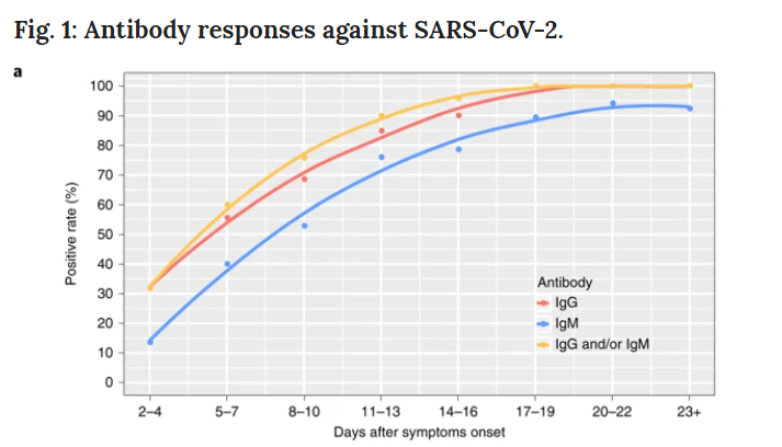 risposte anticorporali sul coronavirus