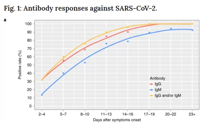 risposte anticorporali sul coronavirus