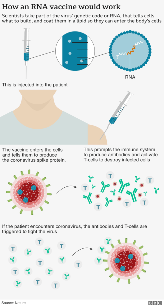 come funziona vaccino covid mrna