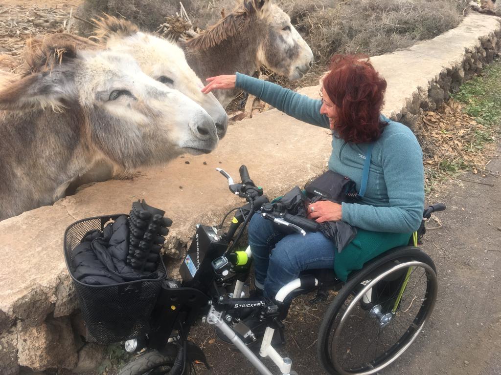 patrizia saccà in compagnia di alcuni asini di Fuerteventura