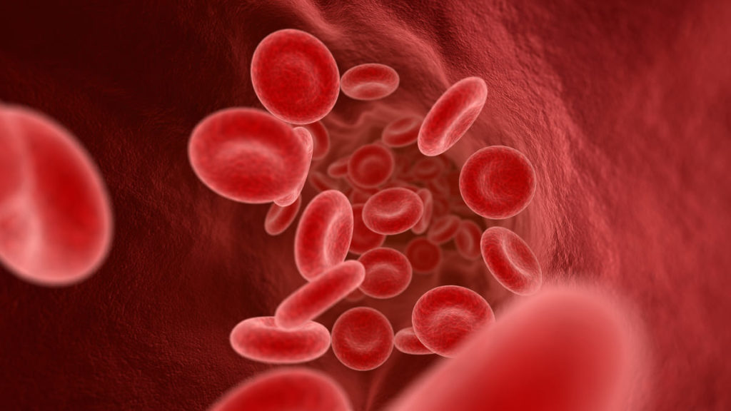 sangue circola nelle vene ast