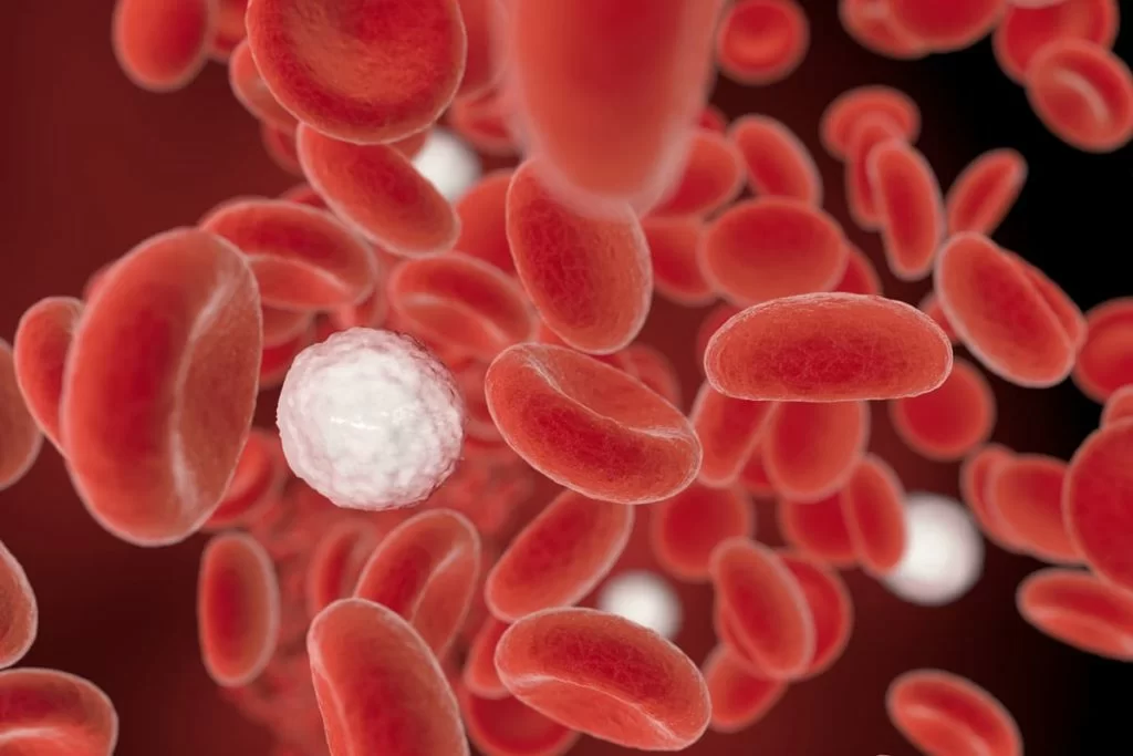 anemia microcitica e globuli bianchi
