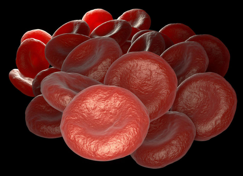 i globuli rossi e i valori della microcitemia