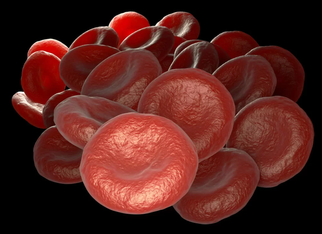 i globuli rossi e i valori della microcitemia