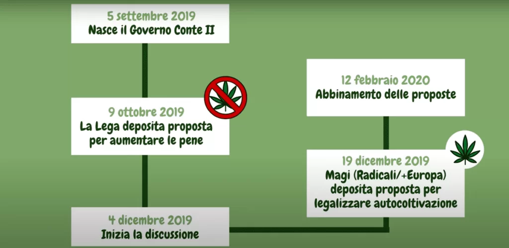 cannabis terapeutica a cosa sta lavorando il parlamento italiano