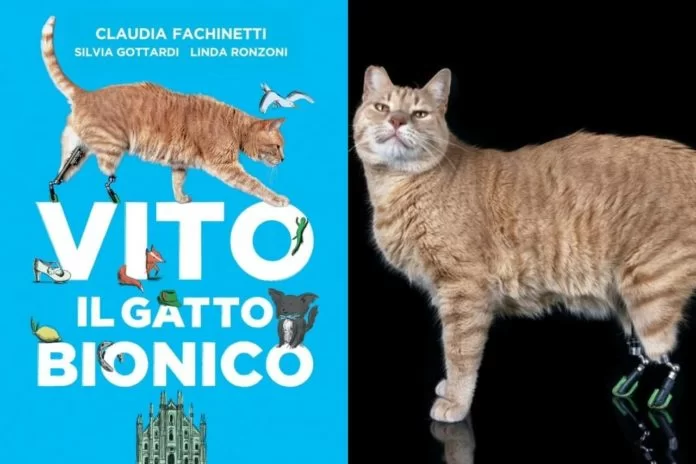 gatti disabili ecco il libro su vito gatto bionico