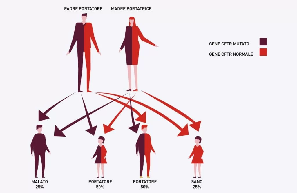 trasmissione fibrosi cistica