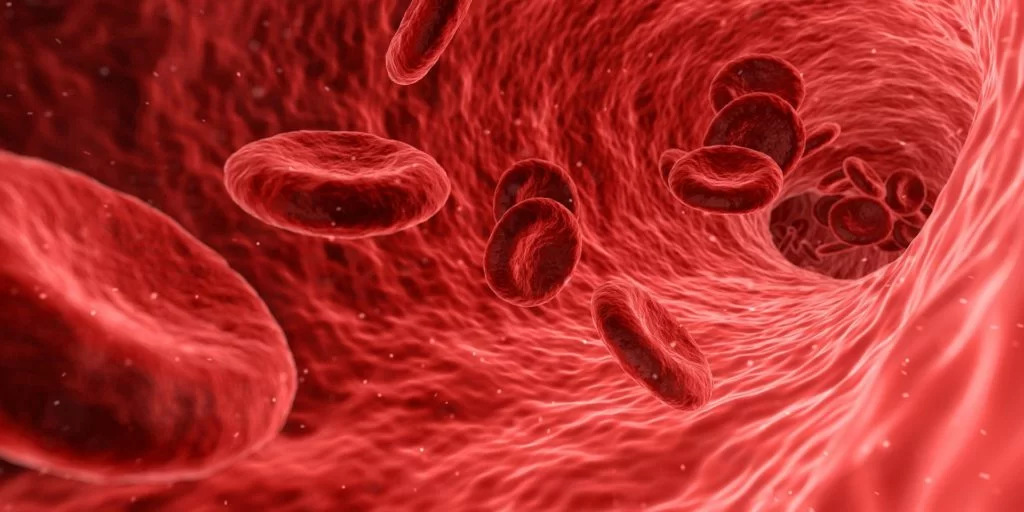 abbassare gamma-gt e depurare il fegato