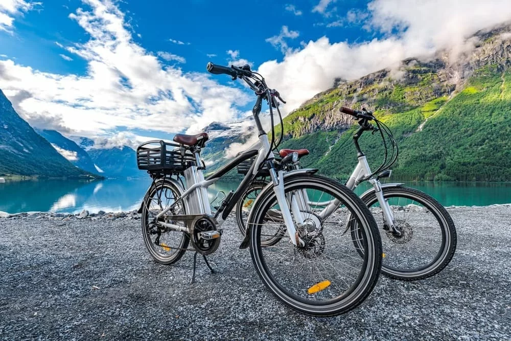 detrazione iva bicicletta elettrica persona disabile