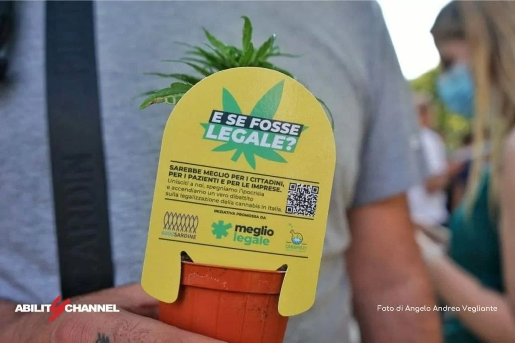 ddl cannabis legalizzazione in italia