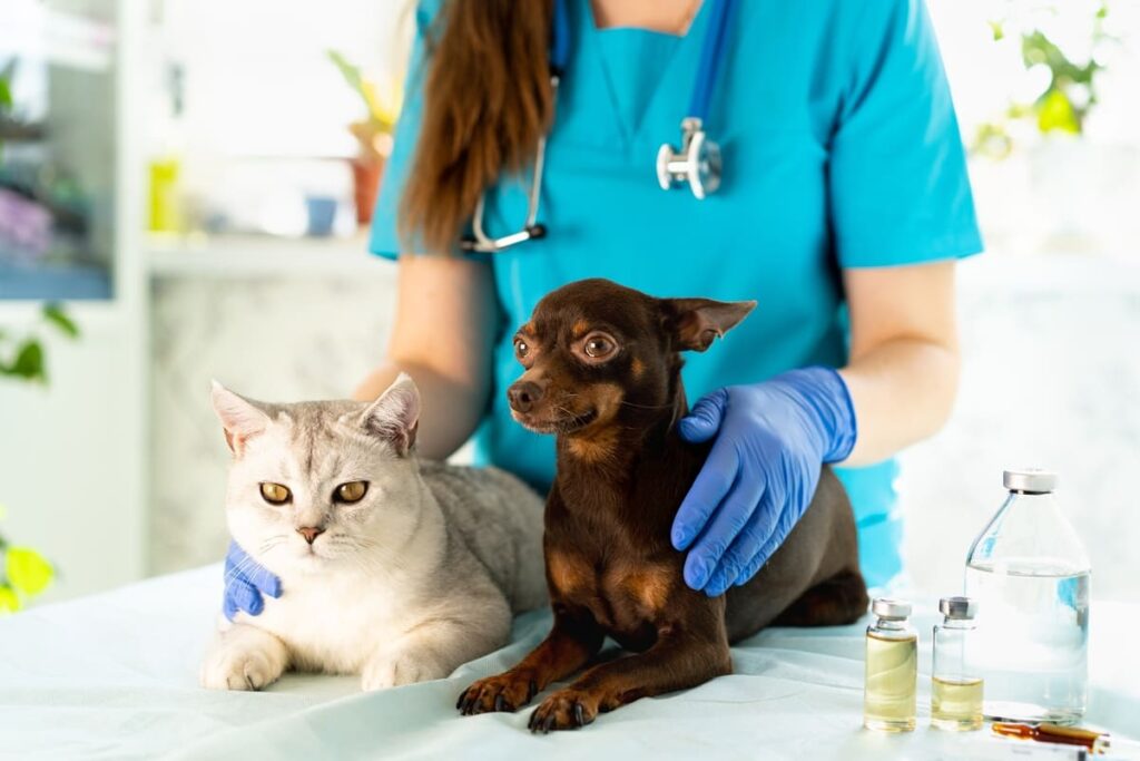 Veterinario Bonus animali domestici 2022