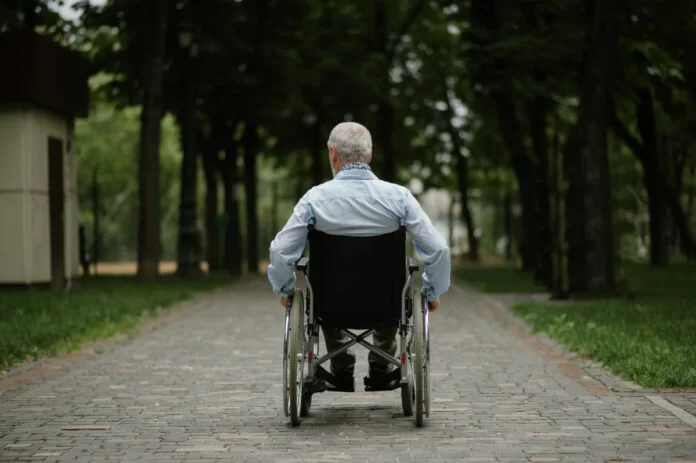 elezioni politiche 2022 disabilità