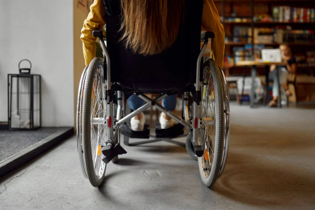 elezioni politiche 2022 disabilità