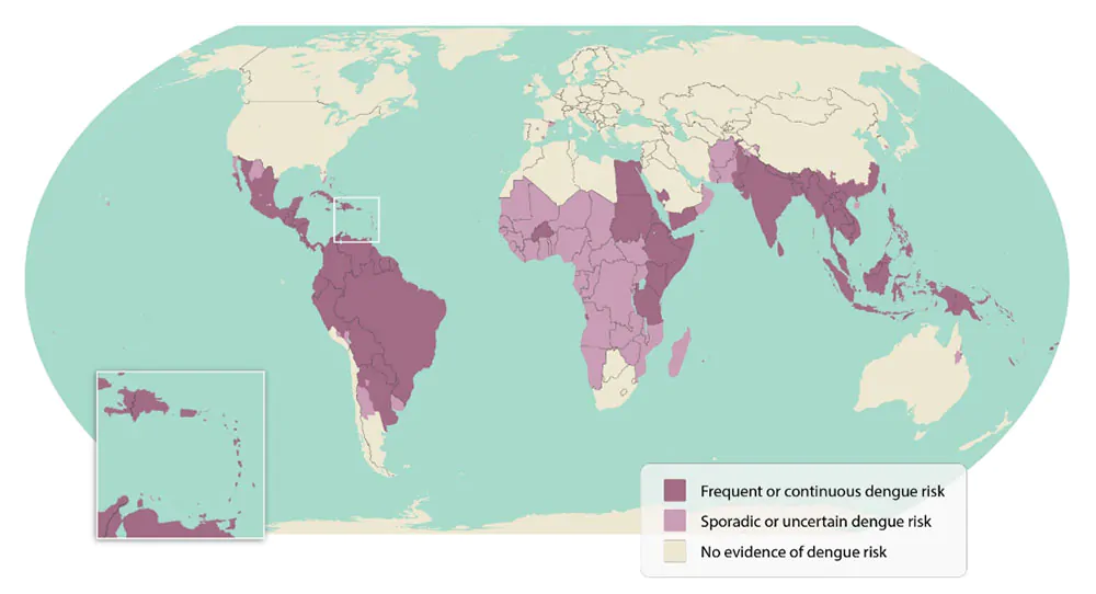 febbre dengue nel mondo