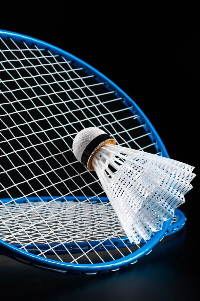 badminton paralimpico