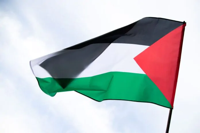 palestina eurovision song contest