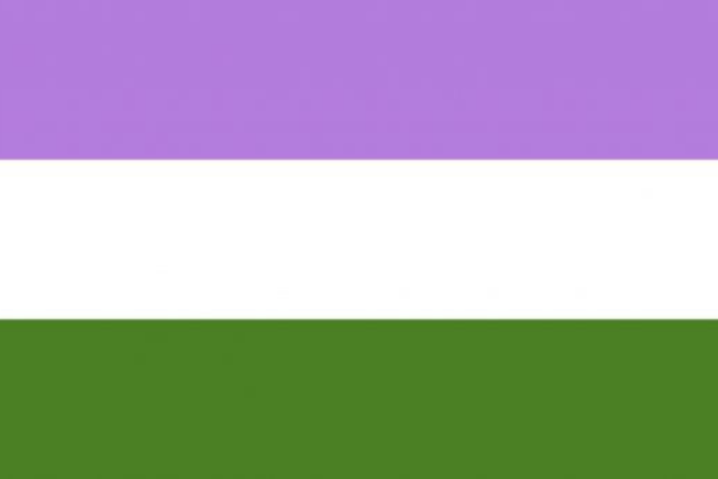 bandiera genderqueer pride