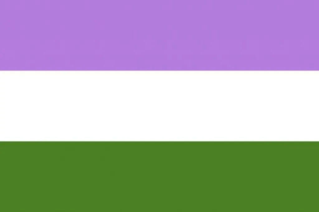 bandiera genderqueer pride