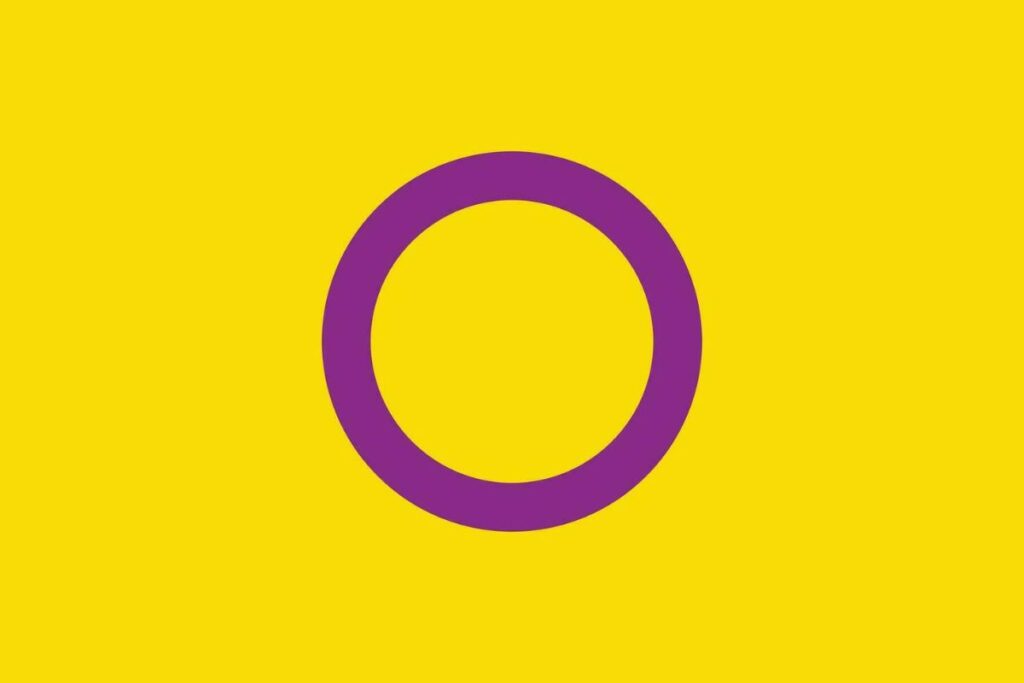 bandiera intersessuale pride