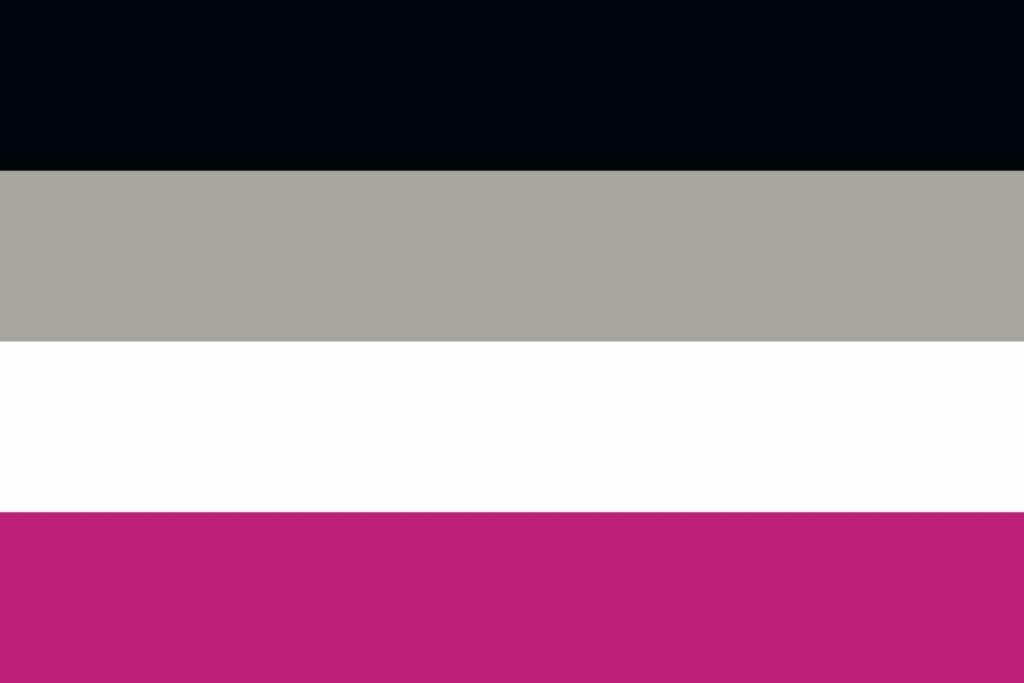 bandiera pride asessuale