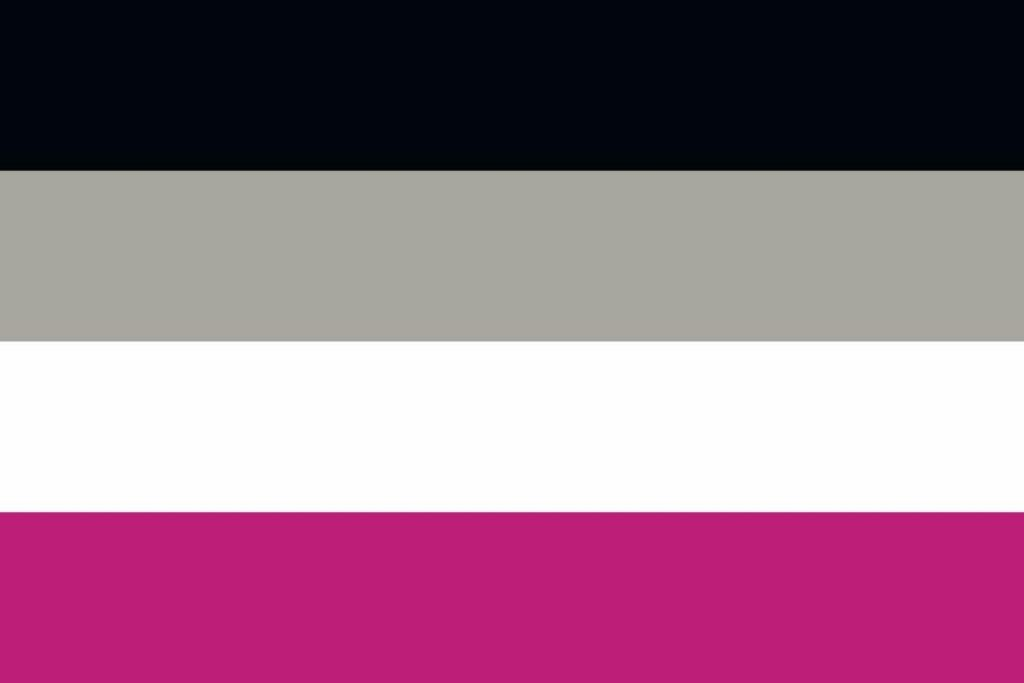 bandiera pride asessuale
