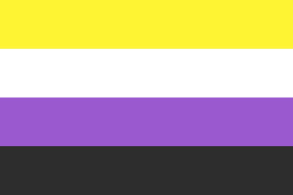 bandiera pride genere non binario