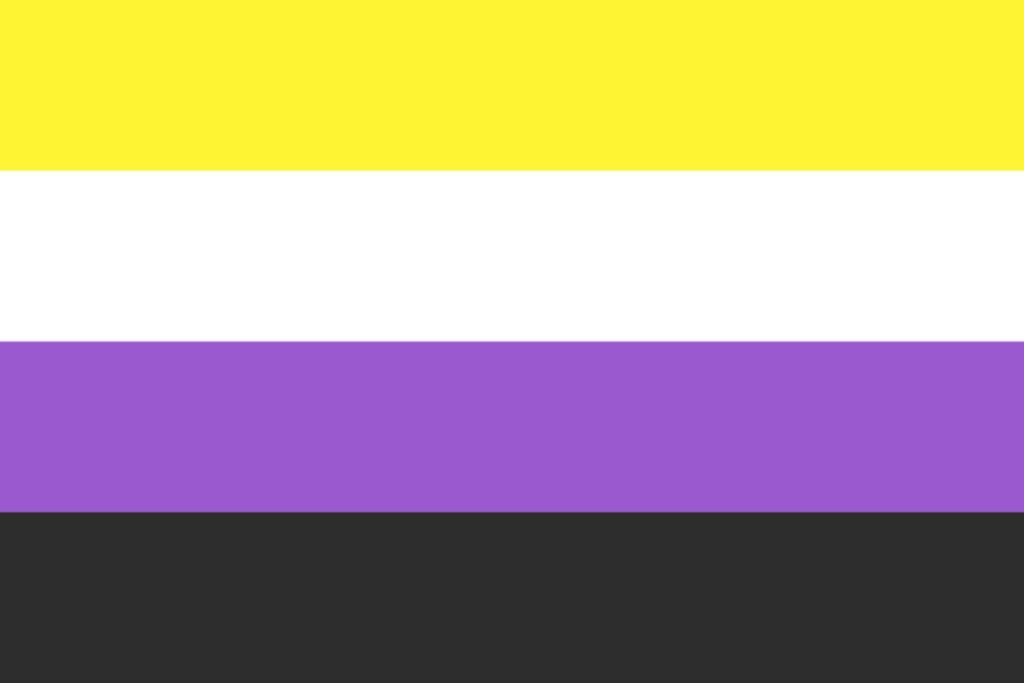 bandiera pride genere non binario
