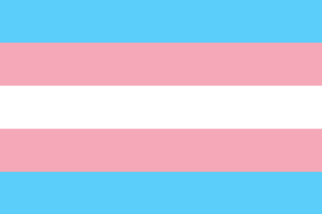 bandiera transgender pride