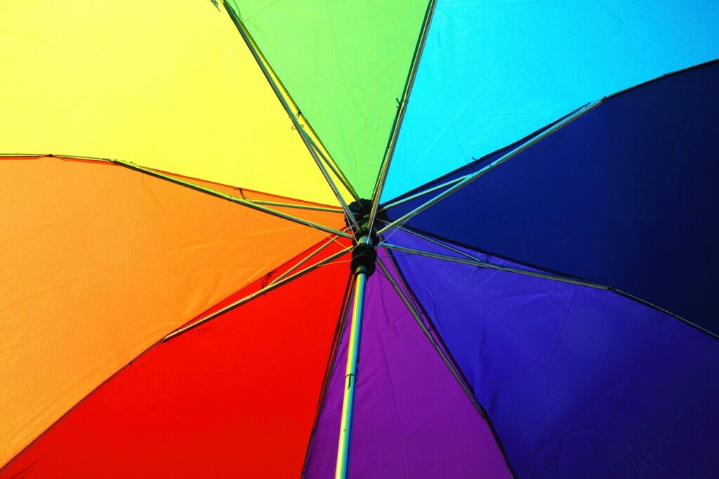 storia pride stonewall